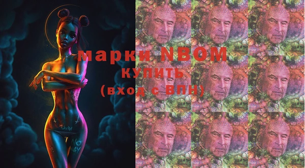 хмурый Богородицк