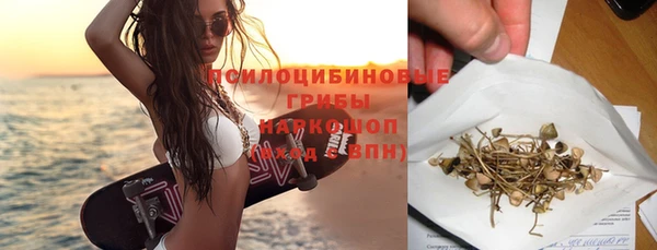 хмурый Богородицк