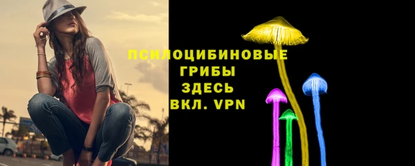 a pvp Богданович