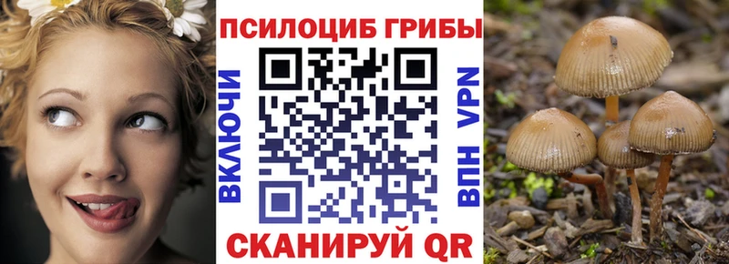 Купить где Осташков Галлюциногенные грибы MAGIC MUSHROOMS